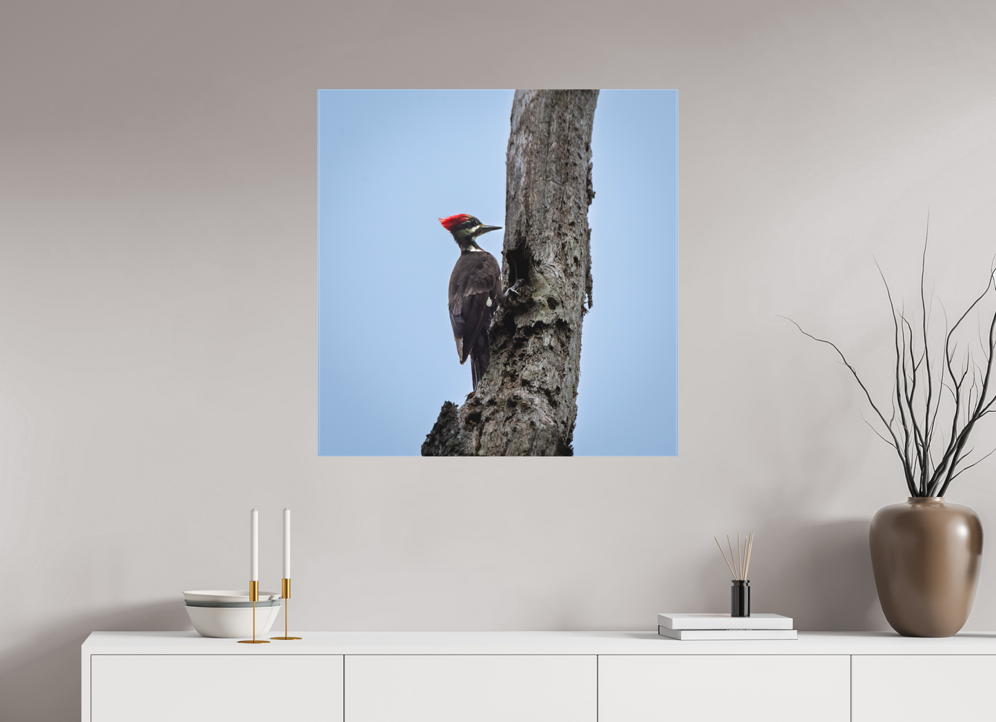 Pileated Woodpecker